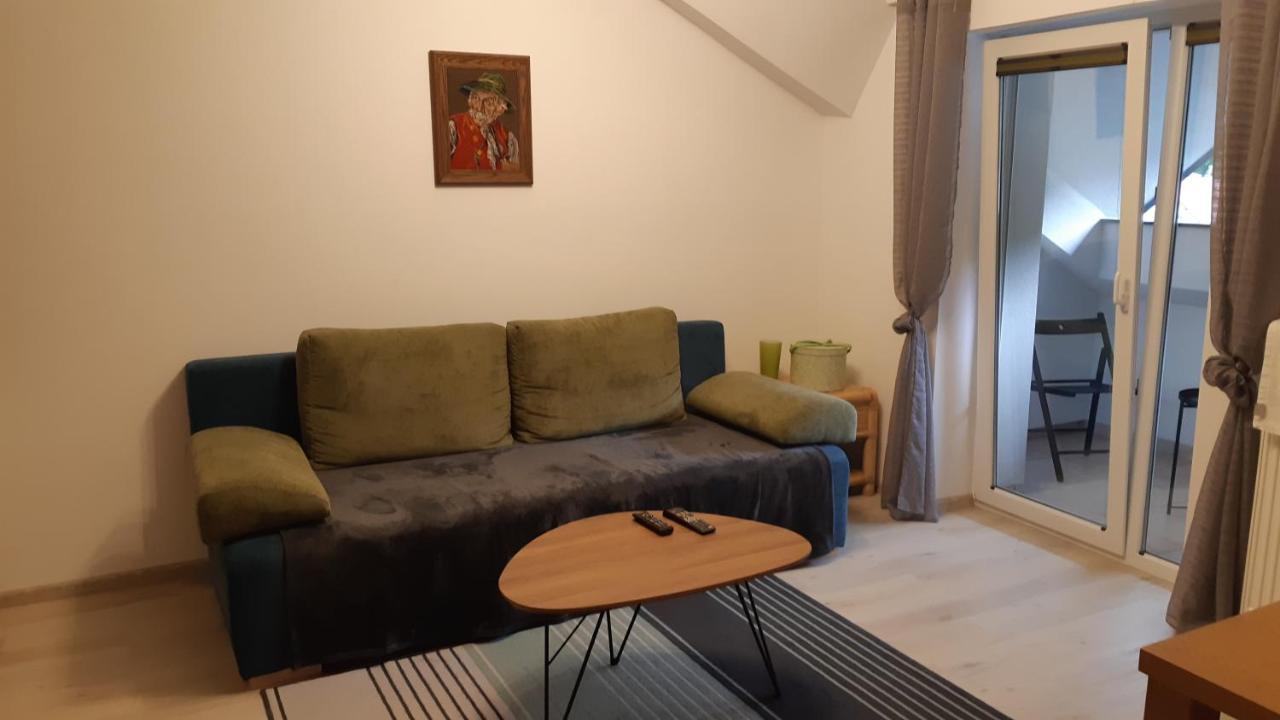 Apartman Viktoria Terchová エクステリア 写真